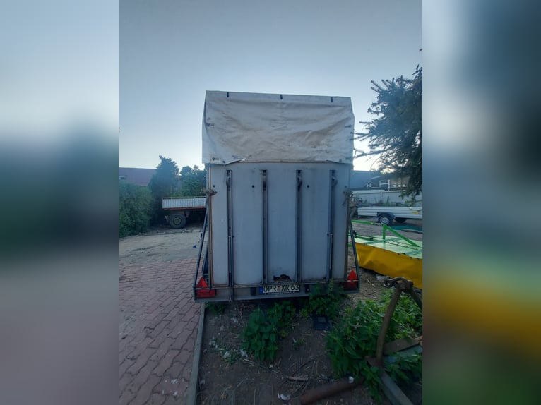 Trailer per cavalli Humbaur HP 2000