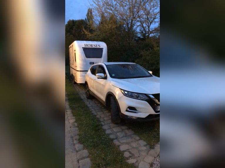 Van Equi-Treck