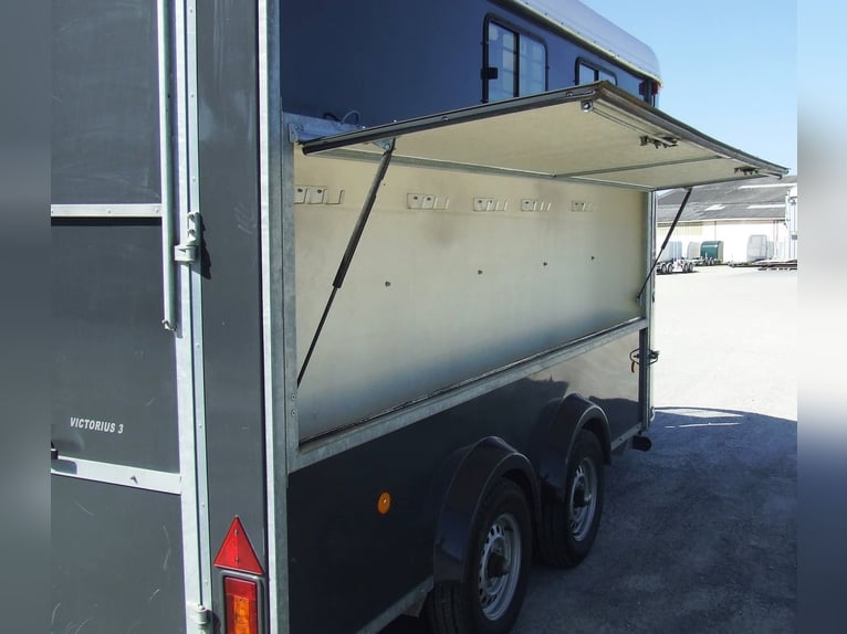 Van Fautras Oblic +3 Victorius