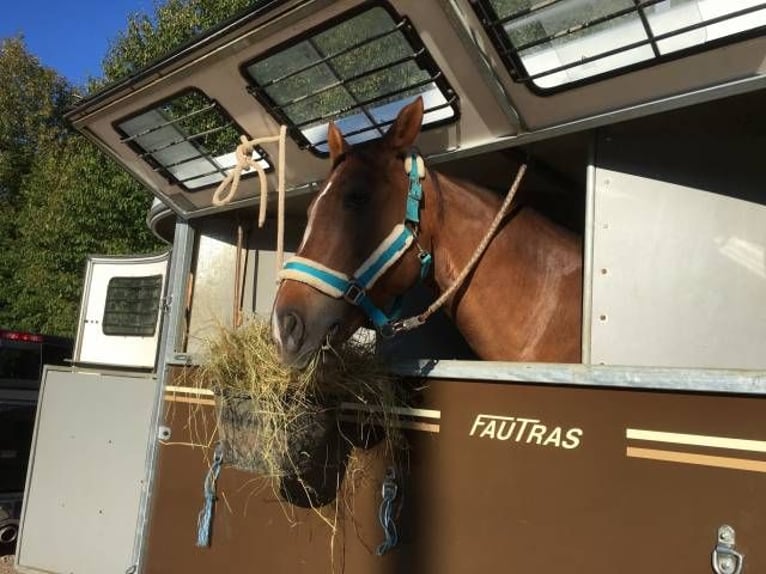 VAN FAUTRAS OBLIC + 4