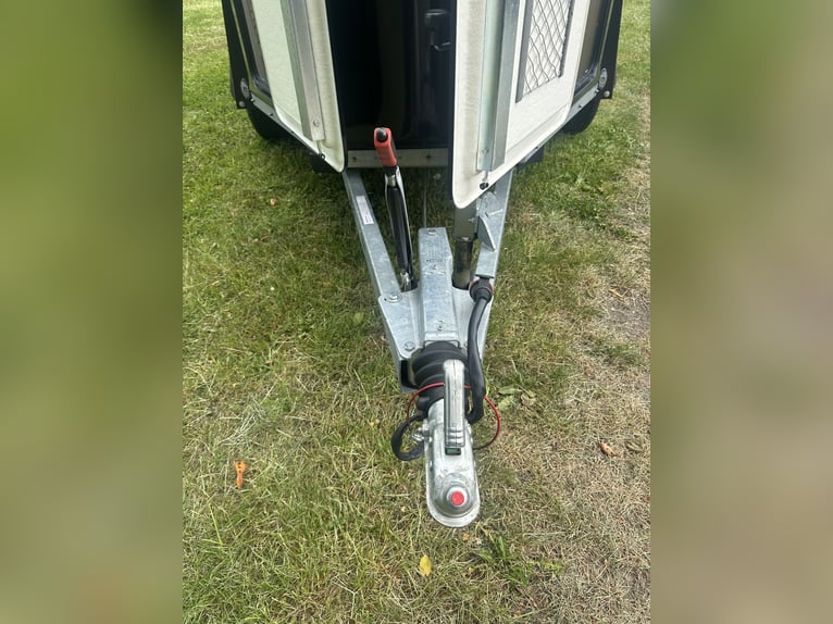 Carrello per cavalli ANSEMS D20 | Prima immatricolazione 03/2024 | Portata massima 2.000 kg | Comple
