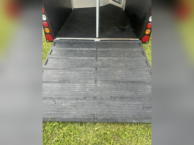 Carrello per cavalli ANSEMS D20 | Prima immatricolazione 03/2024 | Portata massima 2.000 kg | Comple