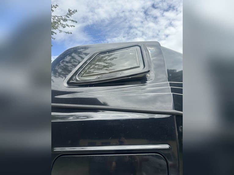 Carrello per cavalli ANSEMS D20 | Prima immatricolazione 03/2024 | Portata massima 2.000 kg | Comple