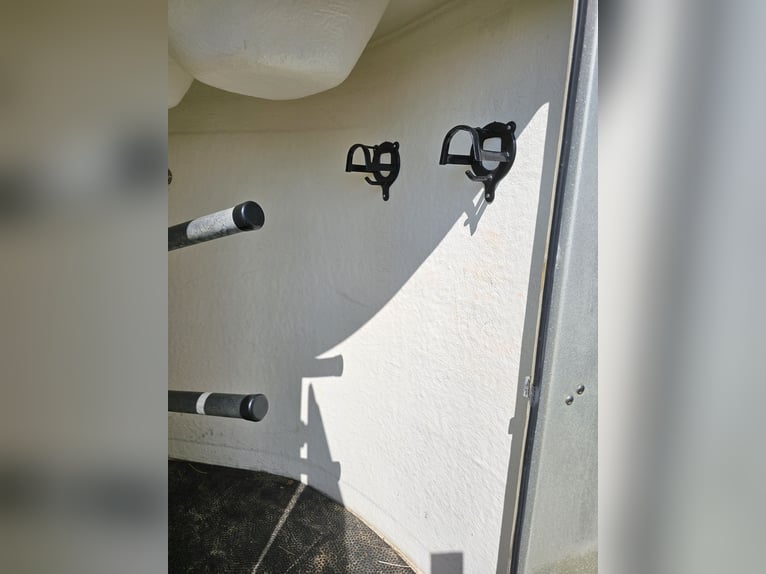 Carrello per due cavalli Reuter/Thiel Compact, ben tenuto