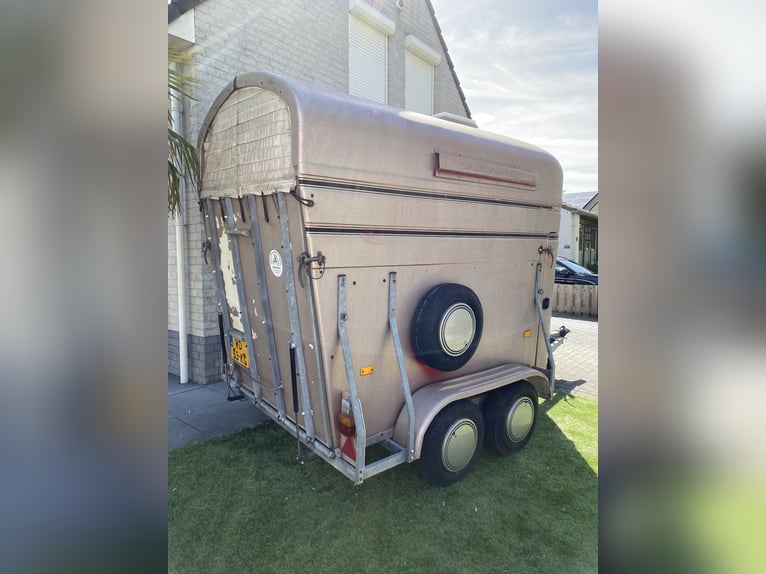 Carrello Van Sluis