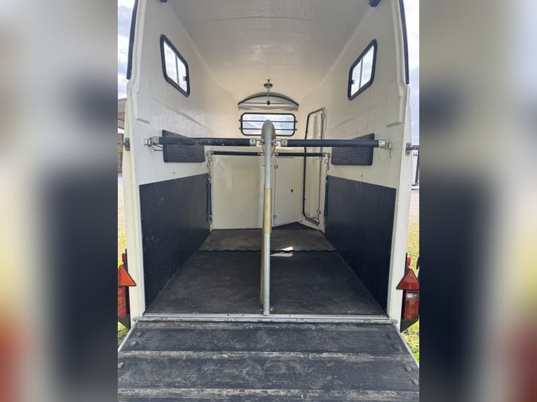 Carro traino Böckmann XL in alluminio con pianale per 2 cavalli