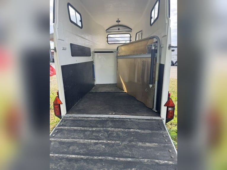 Carro traino Böckmann XL in alluminio con pianale per 2 cavalli