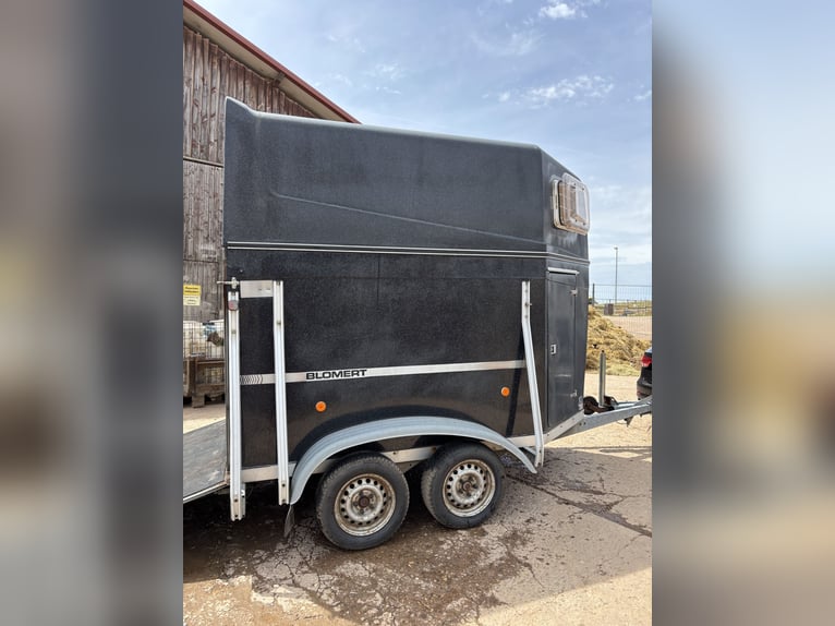 Carrozza portapacchi Blomert per 2 cavalli | 2 tonnellate | Stalla per selle | NUOVE FRECCE | Revisi