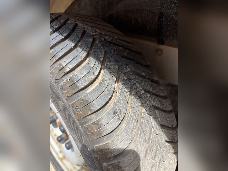 Carrozza portapacchi Blomert per 2 cavalli | 2 tonnellate | Stalla per selle | NUOVE FRECCE | Revisi