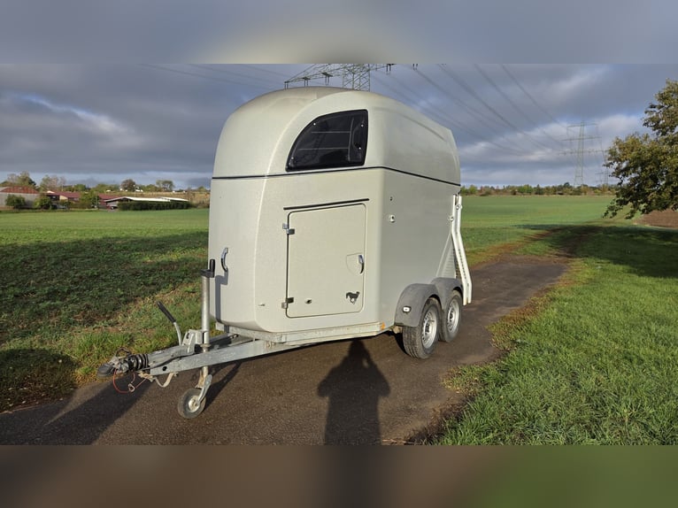 Trailer per cavalli Böckmann Comfort (Anno 2015) – Certificato TÜV valido fino a 06/2027 – Pavimento