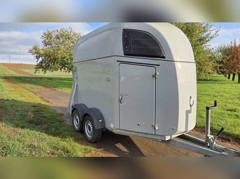 Trailer per cavalli Böckmann Comfort (Anno 2015) – Certificato TÜV valido fino a 06/2027 – Pavimento