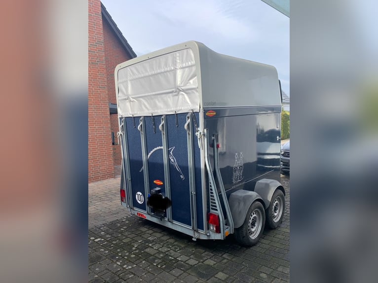 Trailer per cavalli Böckmann in plastica rigida con pianale in alluminio