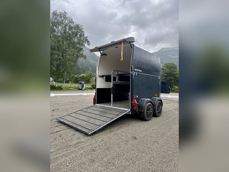 Trailer per cavalli Westfalia Jupiter di alta qualità - completamente revisionato, NUOVA pavimentazi