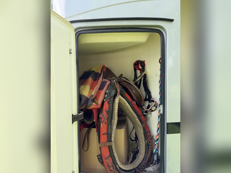 Trasporto per cavalli / Carrello traino PEGASUS HUMBAUR HP2000