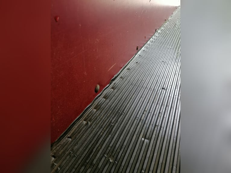 Carrello Böckmann per 1,5 cavalli, usato, in buone condizioni, revisione recente con nuovo collaudo