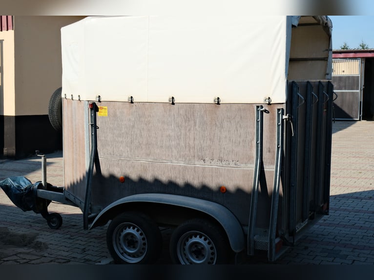 Carrello per trasporto cavalli Böckmann a due posti