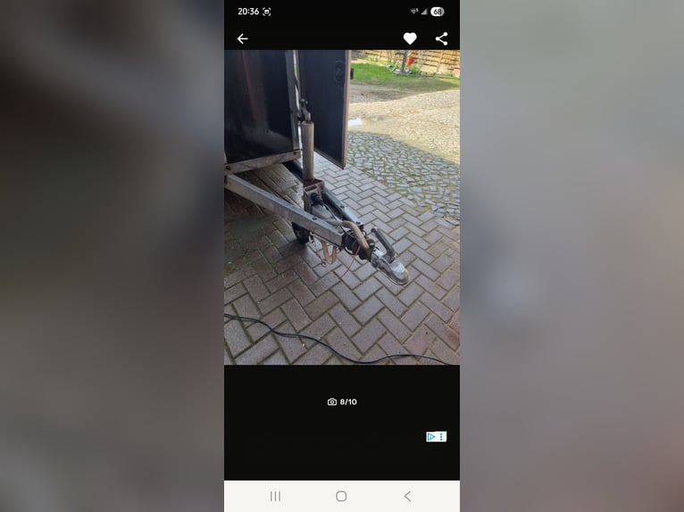 Carrello per trasporto cavalli Gemballa