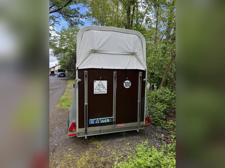 Carrozzi Wörmann per trasporto cavalli