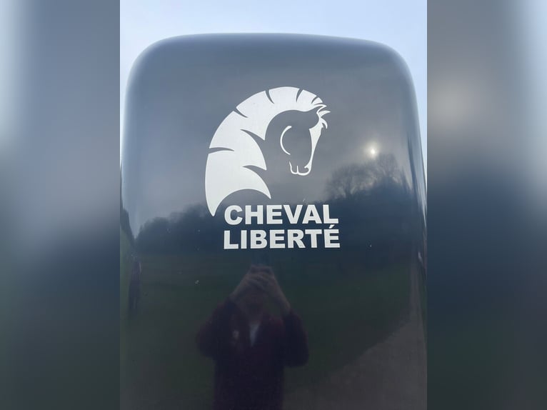 Cavallo di libertà per tour per due cavalli