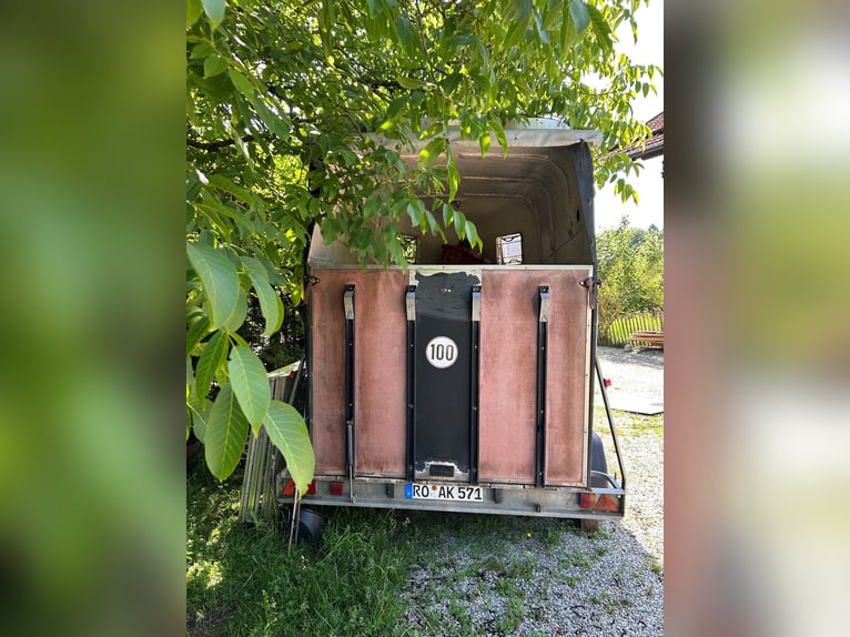 Doppio carrello per cavalli da restaurare