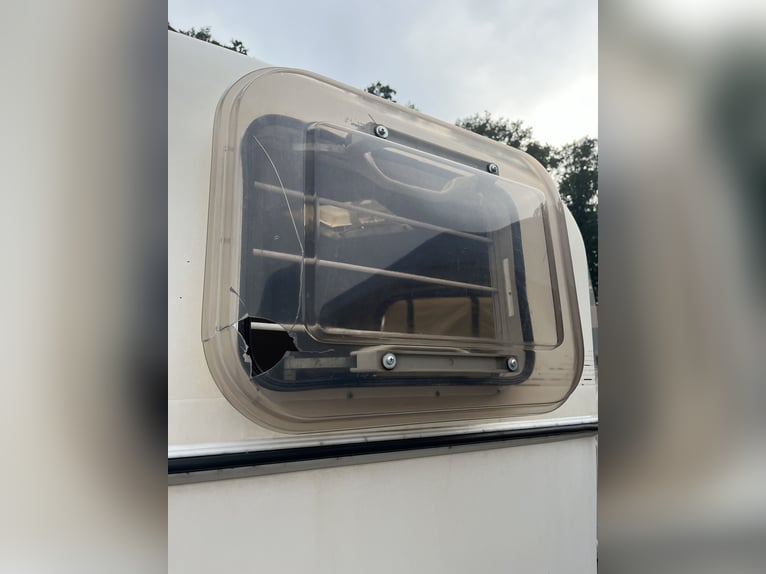 Trailer per trasporto cavalli Atec Olympialine, veicolo da restauro, revisione valida fino ad agosto