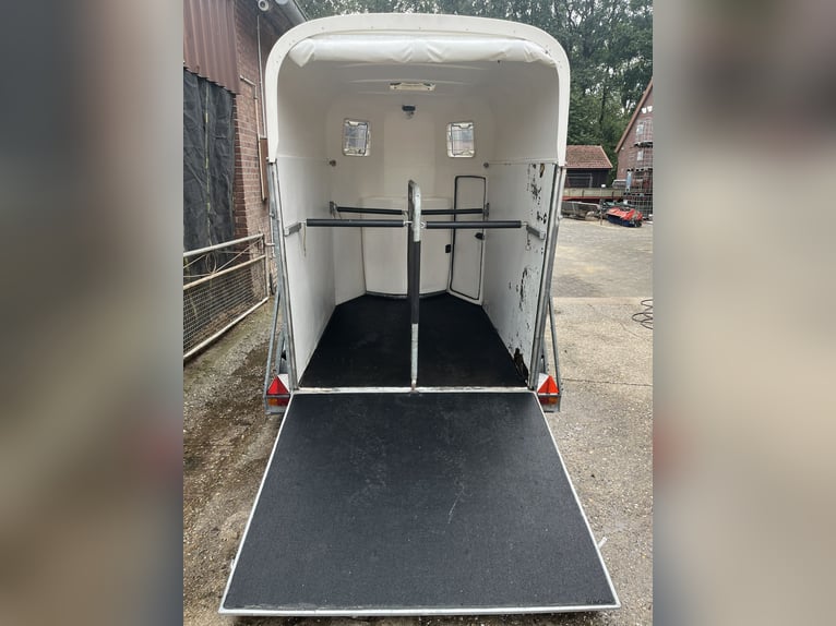 Trailer per trasporto cavalli Atec Olympialine, veicolo da restauro, revisione valida fino ad agosto