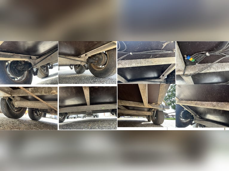 Trailer per trasporto cavalli Atec Olympialine, veicolo da restauro, revisione valida fino ad agosto