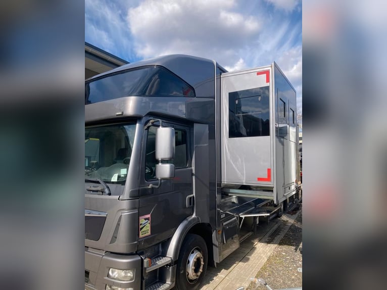MAN TGM camion per trasporto cavalli, 4-5 posti, 14 tonnellate, anno 2017, 290 CV, usato