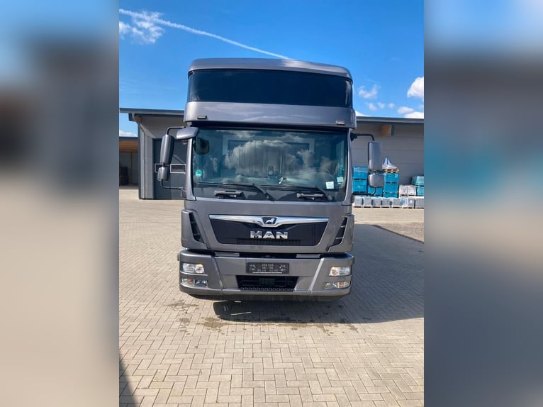 MAN TGM camion per trasporto cavalli, 4-5 posti, 14 tonnellate, anno 2017, 290 CV, usato