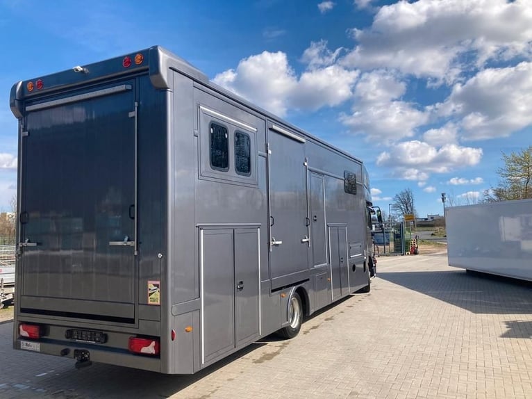 MAN TGM camion per trasporto cavalli, 4-5 posti, 14 tonnellate, anno 2017, 290 CV, usato