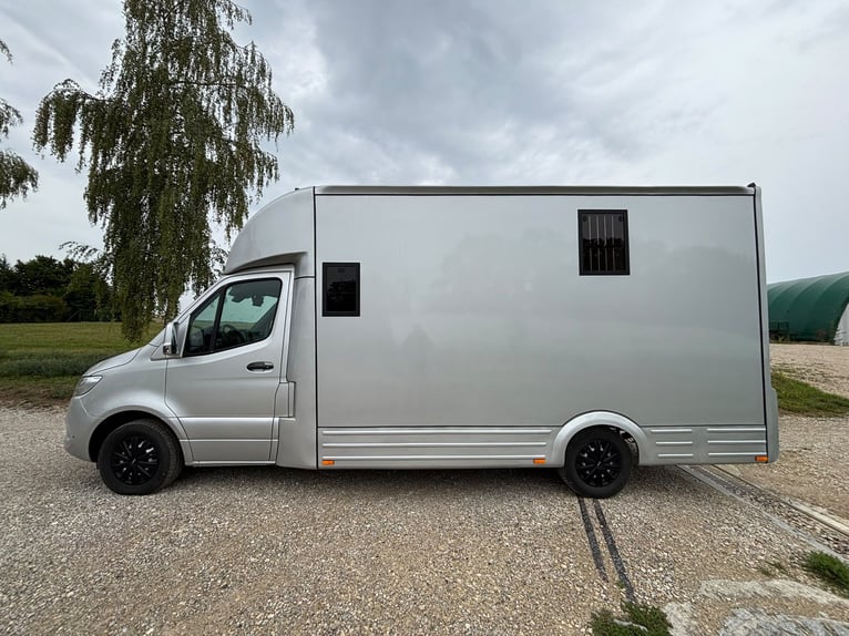 Trasporto cavalli Mercedes Sprinter 200 CV, allestimento 2026, con 5 posti