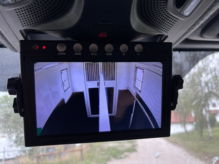 Trasporto cavalli Mercedes Sprinter 200 CV, allestimento 2026, con 5 posti