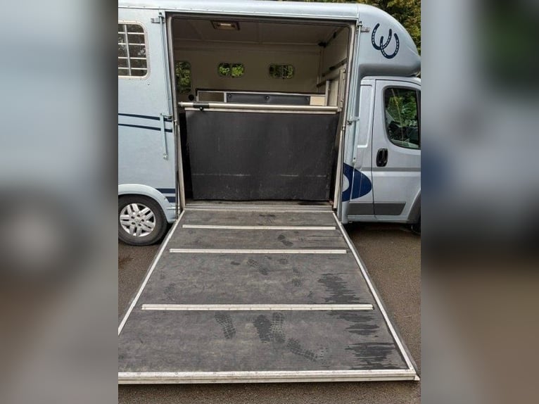 Trasporto per cavalli da 3,5 tonnellate *solo 92.000 km*