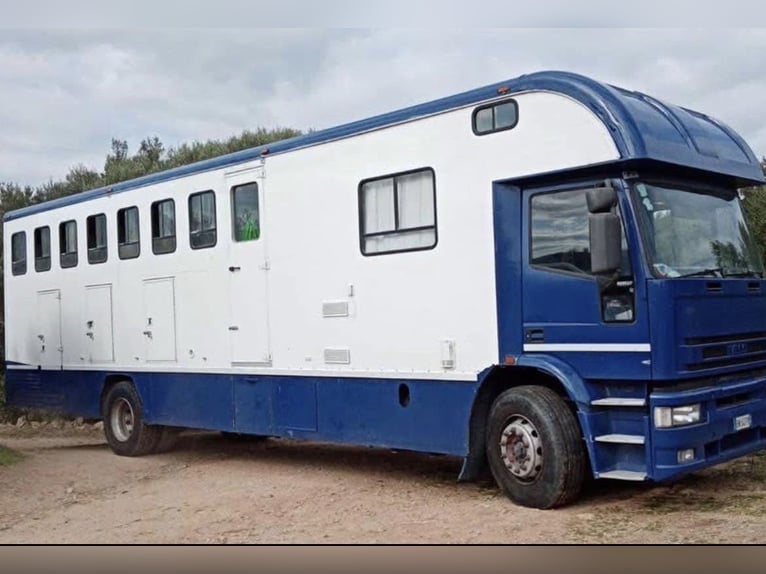 Van 8 posti MOTORE NUOVO Eurotech Iveco