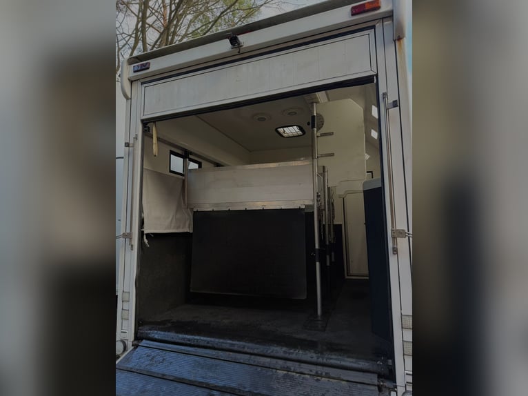 Carrello per 4 cavalli con area sociale