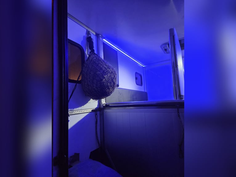 Carrozza per 2 cavalli - Ottimo stato