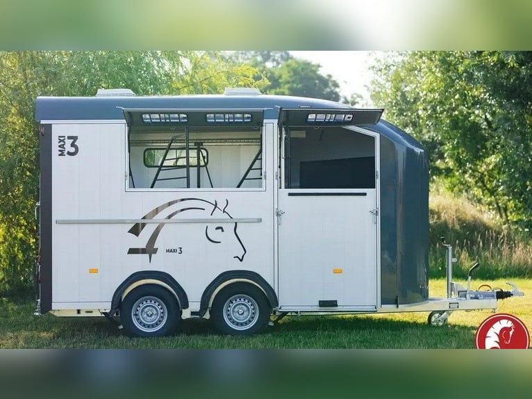 Carrozza per cavalli Liberté Maxi 3 – con selleria e rampa laterale