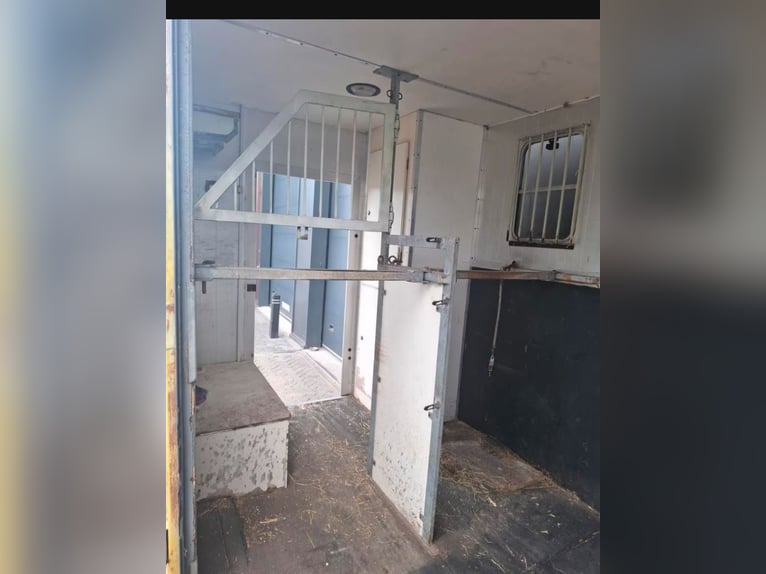 Carrozza per due cavalli. In Olanda esente da tasse di circolazione, revisione valida fino a dicembr