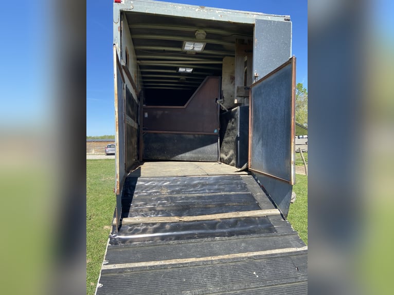 Camion con 6 posti, cabina Home Car