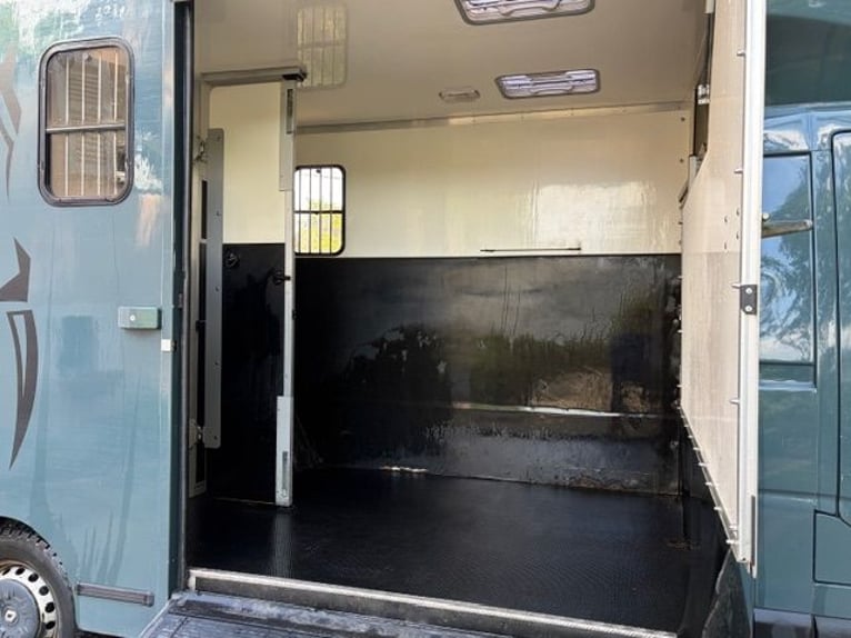 Camion per trasporto cavalli Renault Master ACR con box, in ottime condizioni