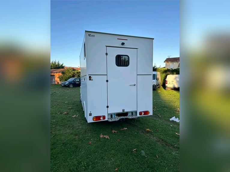 Camion VL per il trasporto di 2 cavalli, configurazione con box Master