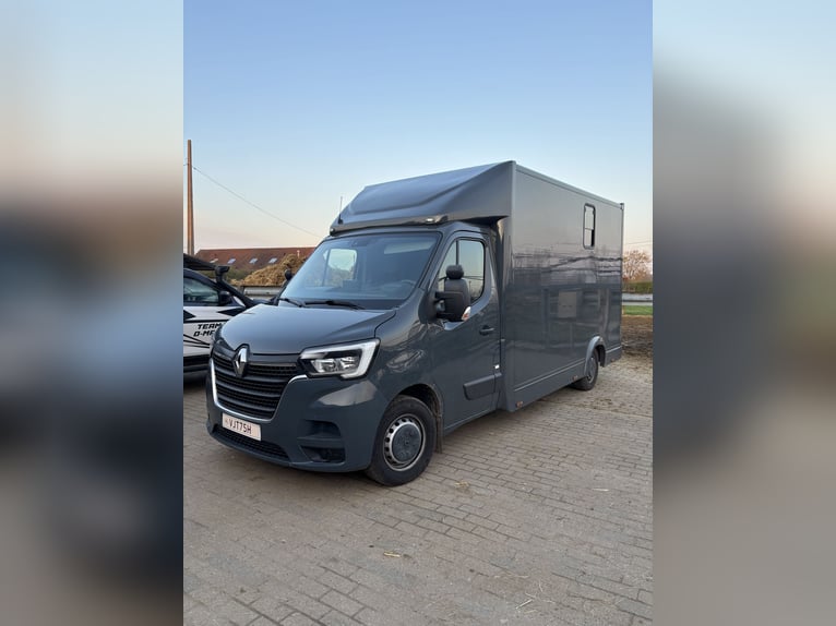 Carrello per trasporto cavalli Renault Master automatico