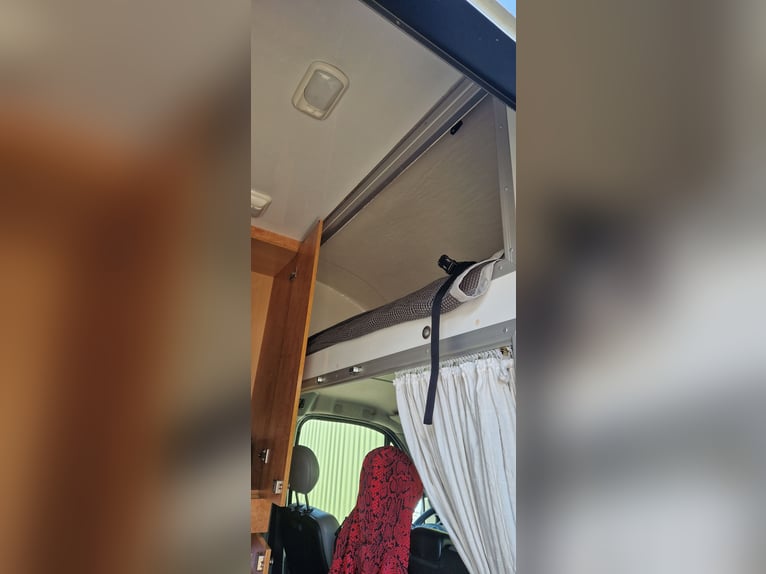 Carrozza per cavalli in vendita