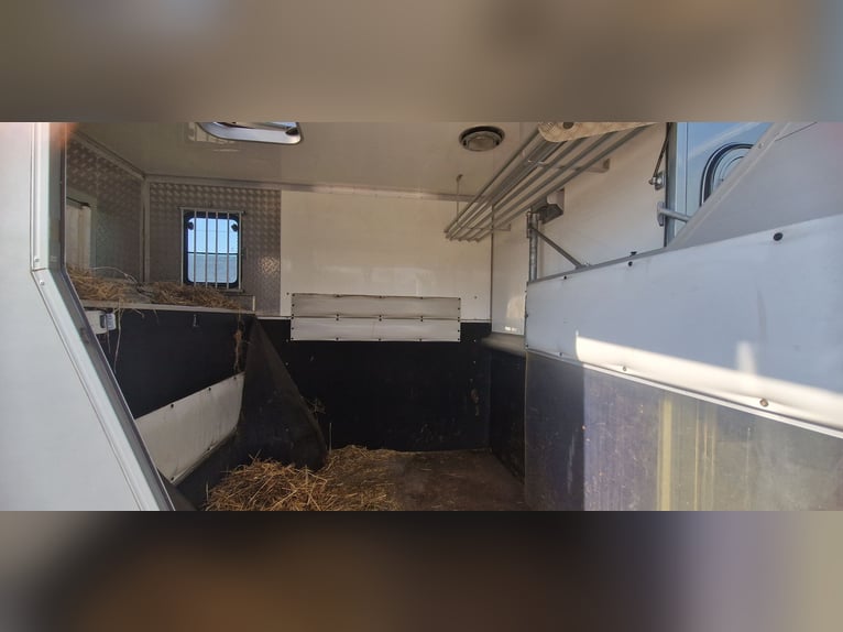 Carrozza per cavalli in vendita