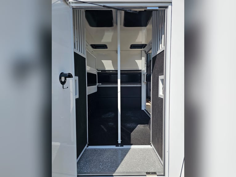 Carrozza Renault Master versione Ogier, 5 posti seduti