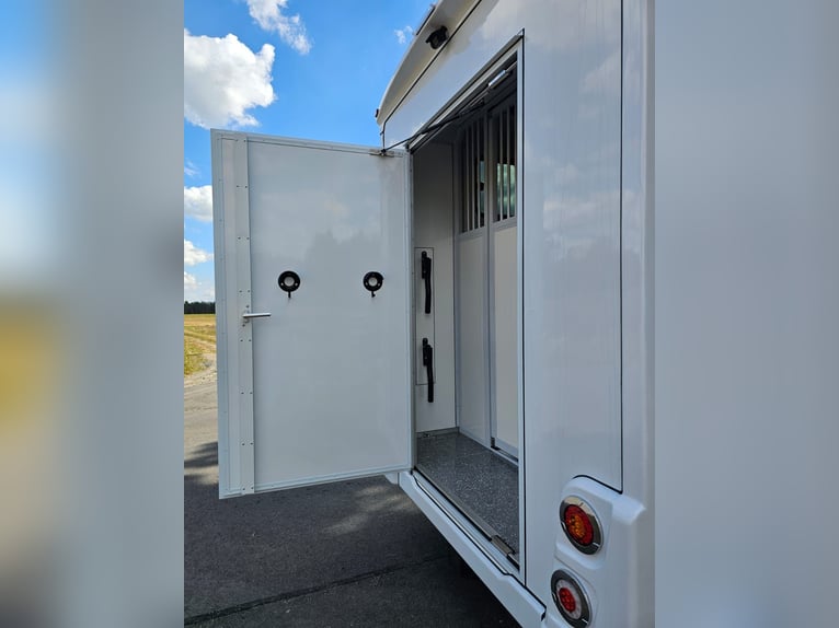 Carrozza Renault Master versione Ogier, 5 posti seduti
