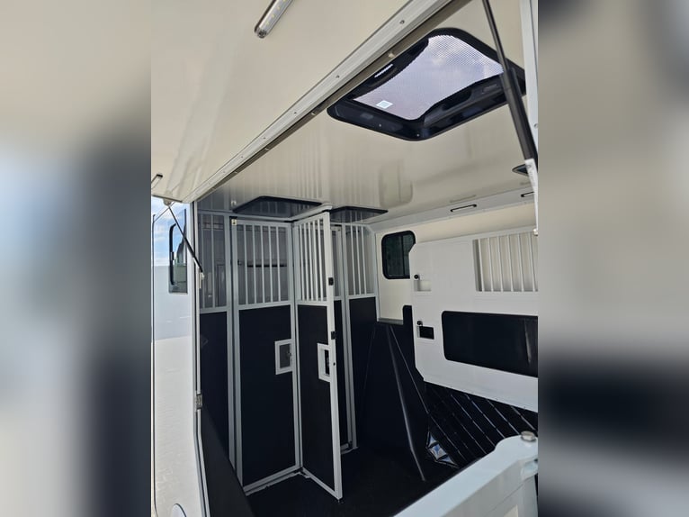Carrozza Renault Master versione Ogier, 5 posti seduti