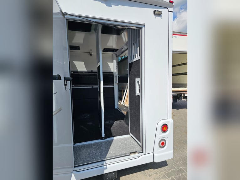 Carrozza Renault Master versione Ogier, 5 posti seduti