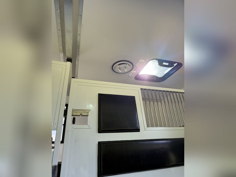 Cattura cavalli Fiat Ducato 5 posti per stallone