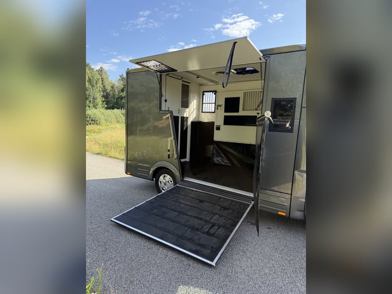 Cattura cavalli Fiat Ducato 5 posti per stallone